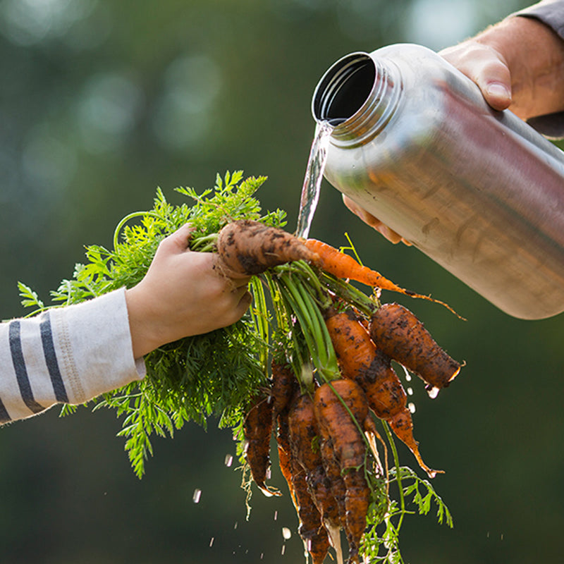 64oz-wide-with-loop-cap-z3 64oz_wide_mouth_bottle_carrots_rinse_square.jpg