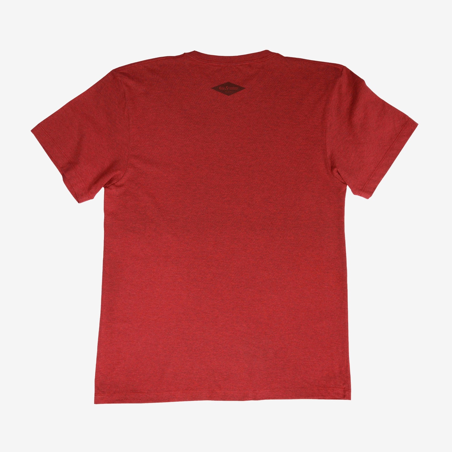 backyard-t-shirt-v0 Shirt_Mtn_Back.jpg